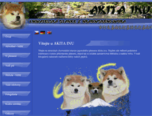 Tablet Screenshot of akitainujp.cz